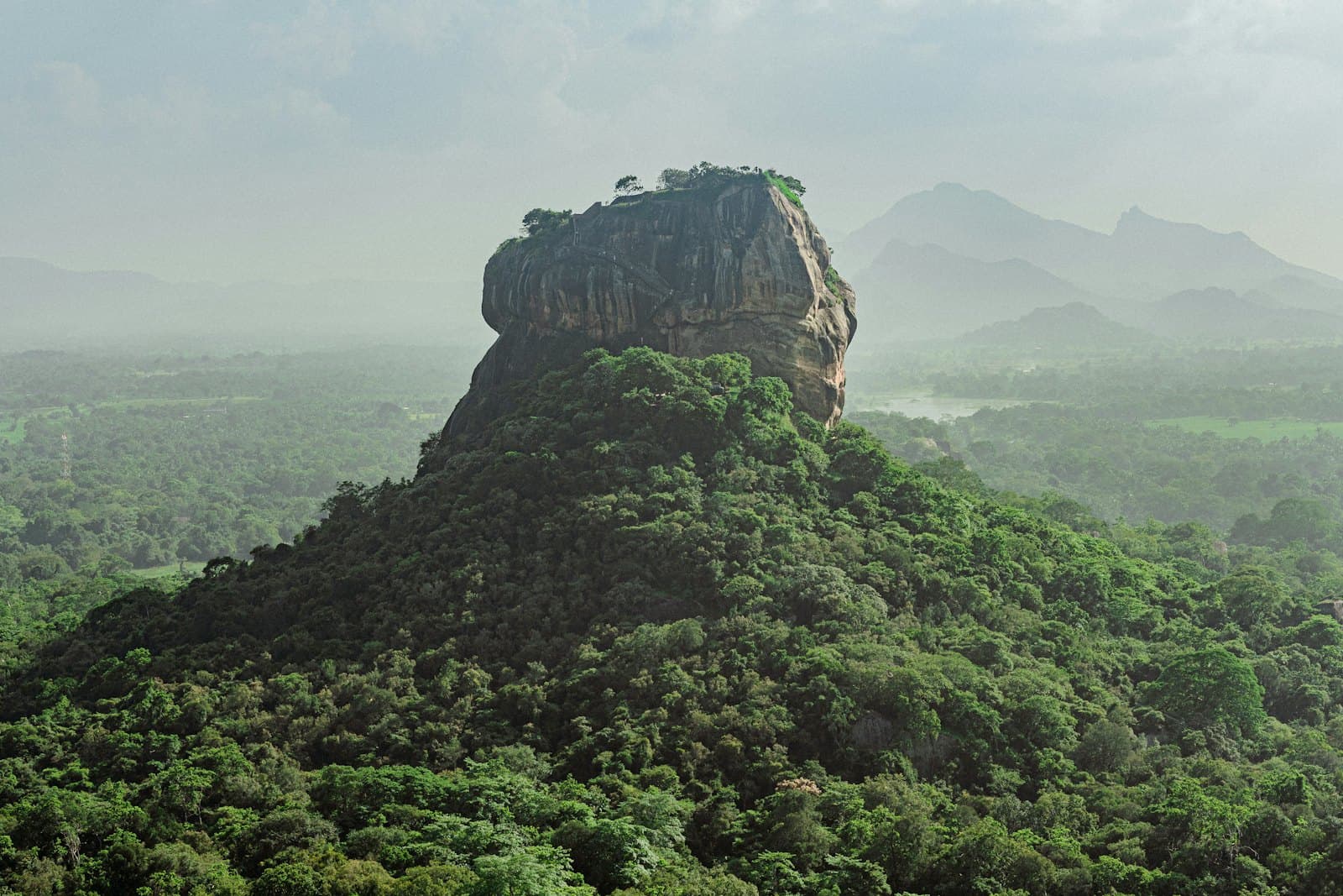 A train travelling through tea country in Sri Lanka